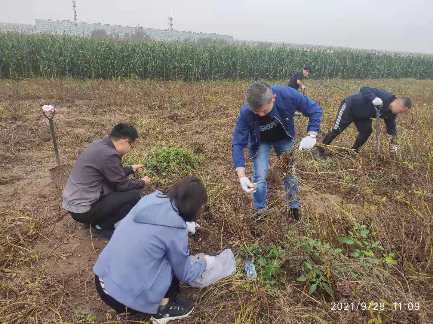 lewin乐玩-(中国)有限公司官方网站
