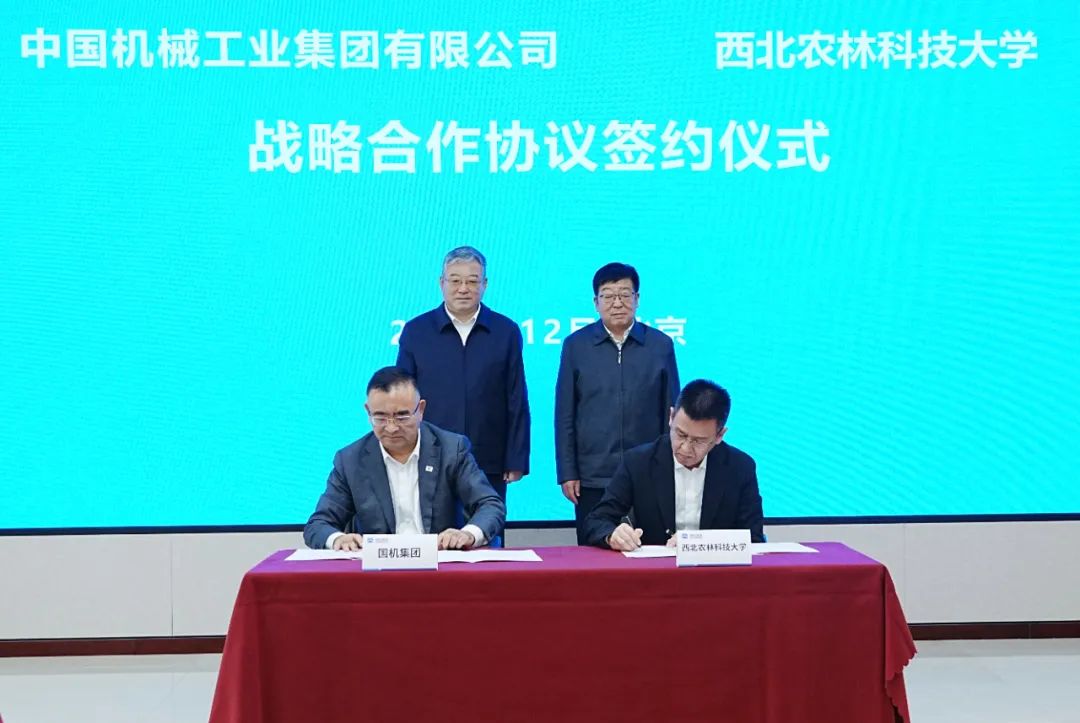 W020250102321499045490 lewin乐玩-(中国)有限公司官方网站